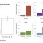 Özünü kəşf etməkdə qarışıb: Kvant kompüterləri öz qarışıqlıqlarını təhlil edirlər