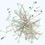 “Xərçəng hüceyrə mərkəzlərinin” kəşfi uşaqlıq boynu xərçəngində kooperativ hadisələri ortaya qoyur