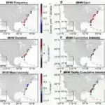 Azotun qlobal üzvi aerozolun udulmasında dominant rolu aşkar edilmişdir