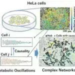 Gözdən qaçan müxtəliflik: Yeni tədqiqat bitkilərin, göbələklərin və hətta virusların zəhərdən istifadə etdiyini göstərir
