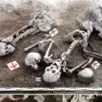 İlanların ultrabənövşəyi rəngin gizli dili: Yırtıcılardan yayınma və kamuflyajın gizli dünyası