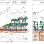 Alimlər nəğmə quşlarında səs dövrələrinin neyron naqillərinin xəritəsini tərtib edirlər