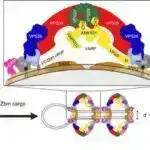 Yeni miniatür laboratoriyalar süni intellektin səhv etməməsini təmin edir