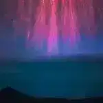 RNT-ni redaktə edən protein anlayışları xərçəng və otoimmün xəstəliklərin müalicəsinin təkmilləşdirilməsinə səbəb ola bilər