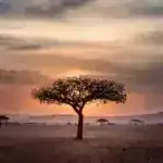 Hətta dünyəvi ölkələrdəki ateistlər də dini inanclara intuitiv üstünlük verirlər