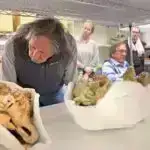 Yaxınlıq və qərəz: Konsert iqtisadiyyatında gey ayrı-seçkiliyi