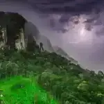 Alzheimer xəstəliyi olan bir ataya sahib olmaq beyində tau proteininin daha çox yayılması ilə əlaqəli ola bilər