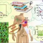 Gül ətirli sitronellol yüksək təsir səviyyələrində neyrotoksik potensial daşıya bilər