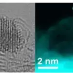 Yoqa, diz osteoartritinin ağrısını azaltmaq üçün gücləndirici məşqlər qədər təsirlidir, araşdırma tapır