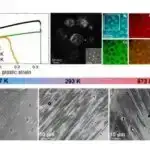 Yerin maqnit qütbünün yerdəyişməsi: Günəş kremi, paltar və mağaralar Homo sapiensin 41.000 il əvvəl sağ qalmasına kömək etmiş ola bilər.