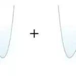 Qavrayışlara gözləntilər necə təsir edir: Songbird tədqiqatı insan nitqinin işlənməsi ilə paralellər aparır