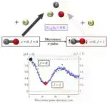 MikroRNT-lər inkişaf etməkdə olan beyin üçün necə bir “plan” rolunu oynayır