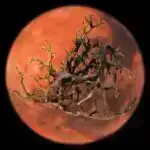 Çoxtezlikli müşahidələr radio qalaktikası 3C 111 və onun reaktivini araşdırır