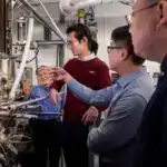 Sitoskeletal filamentlərin əmələ gəlməsi: Alimlər yaraların sağalması üçün vacib olan vimentin filamentləri haqqında yeni təfərrüatlar kəşf edirlər.