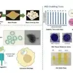 Dağınıq sklerozla bağlı araşdırma “Elm Oskarı”nı qazandı