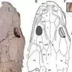 Sərhəd molekulyar orbital nəzəriyyəsi tək atomlu katalizator dizaynına kömək edir