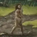 Eynşteynin vahid sahə nəzəriyyəsi xəyalı gerçəkləşdi?