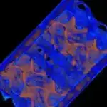 Qadın hormonları ağrıları təbii şəkildə yatıran opioidlər hazırlamaq üçün immun hüceyrələrini stimullaşdıra bilər