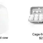 Süni intellekt bizim kimi düşünür – qüsurlar və hər şey: Tədqiqat ChatGPT-nin testlərin yarısında insan qərarlarının qərəzliliyini əks etdirir.