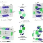 Astronomlar son dərəcə rentgen şüaları ilə işıq saçan, radio-yüksək kvazarı araşdırırlar