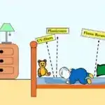 Fizika enerji səmərəliliyi üçün optimal dam nisbətlərini ortaya qoyur