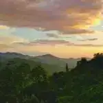 Qədim DNT Aralıq dənizi Finikiya-Pun sivilizasiyası haqqında çoxdankı fərziyyələrə qarşı çıxır.