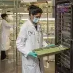 2,6 milyard il əvvəl təkamül alqoritmik faza keçidi eukaryotik hüceyrələrin yaranmasına səbəb ola bilər.