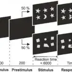 Kainatın uzun müddətdir hesab olunmayan hidrogen qazının yarısı tapılıb