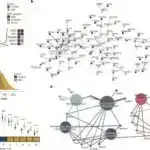 Meta səthlərdə ikiqat azalma: İkiqatlı cihaz qütbləşmiş işığın bir çox formalarını idarə edə bilər