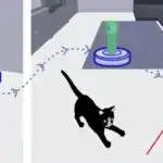 Noto zəlzələ 3D modeli zəlzələ dinamikasını anlamaq üçün ölçü əlavə edir