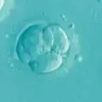 Politoloqların fikrincə, hazırkı süni intellekt apokaliptik gələcək ssenarilərindən daha qorxuludur