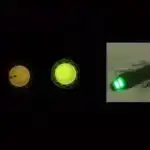 Tədqiqatın nəticələrinə görə, bir yaşlı körpələr artıq bəstəkarlıq qabiliyyətlərini nümayiş etdirirlər