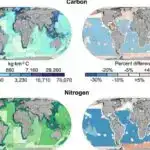 Probiyotiklər mənfi hissləri azaldır və potensial psixi sağlamlıq faydaları təklif edir