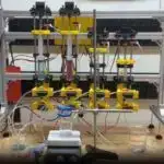 Balıqların üzmə kisələri ürək çatışmazlığının müalicəsində faydalı ola bilər