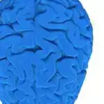 Araşdırma göstərir ki, Avropa əhalisi istidən çox soyuğa daha yaxşı uyğunlaşır