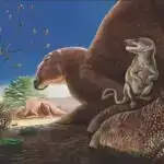 Tədqiqat göstərir ki, əsas dəniz dibi mühəndisləri arasında populyar olaraq yeyilən balıq