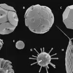 Kompüter simulyasiyaları CO₂-nin yerin altında qeyri-müəyyən müddətə saxlanıla biləcəyini göstərir