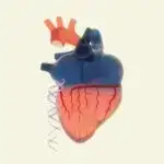 Süni intellekt həqiqətən yaradıcıdırmı? Tədqiqat prosesin görünməsinin qavrayışı necə formalaşdırdığını göstərir