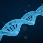 Alimlər aşkar edirlər ki, tək fermentin aşağı səviyyələri kolorektal xərçəngdə bədxassəliliyə yol açır