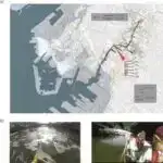 Mövcud dərman sepsisin müalicəsində immun hüceyrələrini canlandıra bilər