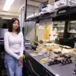 Güclü qərb küləkləri okean istiliyinin Şərqi Antarktika Buz Vərəqinə daşınmasına səbəb olur, araşdırma tapır