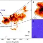 İmmunitetin təəccüblü əsas tənzimləyicisini bloklamaq siçanlarda qaraciyər şişlərini yox edir