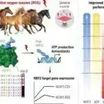 Yeni tədqiqat bəşəriyyətin tarixdən əvvəlki ovçuluqdan əkinçiliyə keçidinin hekayəsinə meydan oxuyur
