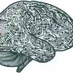 İnsanabənzər robotlar dünyanın ilk yarımmarafonu ilə gələcəyə doğru addımlayır