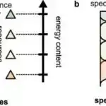 Rəqəmsal kvant kompüteri ilə kvant maqnitizminin simulyasiyası