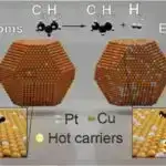 Marsda həyata doğru bir addım? Yeni araşdırmada likenlər Mars simulyasiyasından sağ çıxır