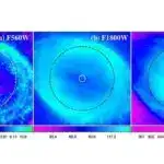 Tədqiqat siyasi davranışın intensivliyi ilə əlaqəli beyin dövrəsini aşkar edir
