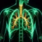 Tədqiqat göstərir ki, yalnız gündüz saatlarında yemək insanları növbəli işin ürək risklərindən qoruya bilər