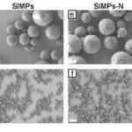 İtlər trenddə olan AIC düymələri ilə müqayisədə təbii ünsiyyəti daha asan başa düşə bilər