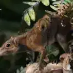 Alimlər iki “mümkün olmayan” materialı yeni süni quruluşda birləşdirirlər